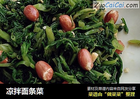 凉拌面条菜