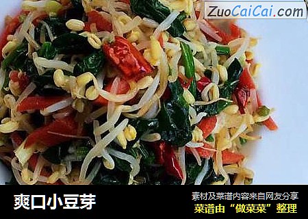爽口小豆芽