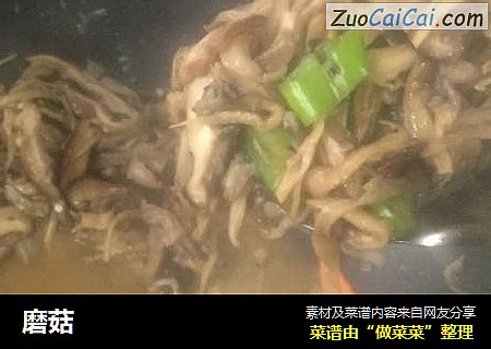 磨菇