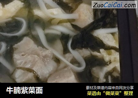 牛腩紫菜面