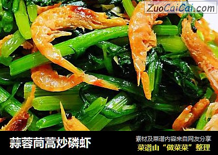 蒜蓉茼蒿炒磷虾