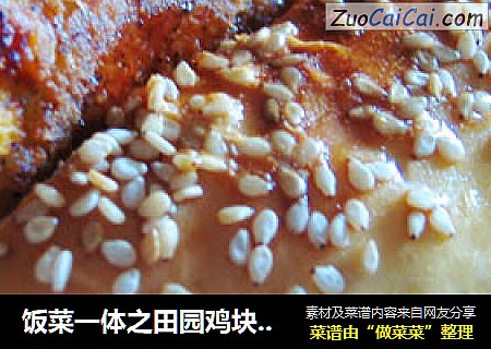 饭菜一体之田园鸡块热狗