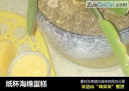 纸杯海绵蛋糕