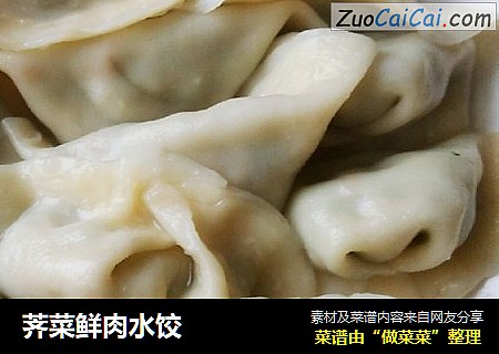 荠菜鲜肉水饺