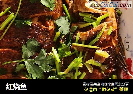 红烧鱼