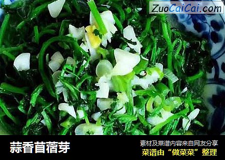 蒜香苜蓿芽