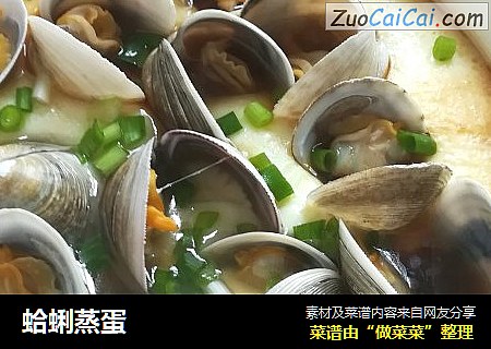 蛤蜊蒸蛋