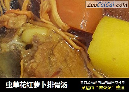 虫草花红萝卜排骨汤