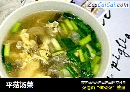 平菇汤菜