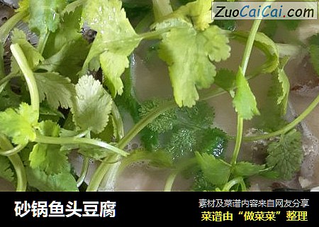 砂锅鱼头豆腐