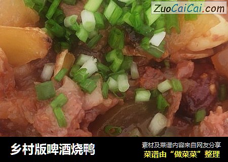 乡村版啤酒烧鸭