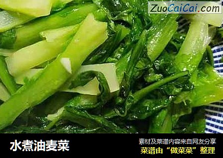 水煮油麦菜