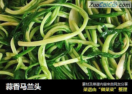 蒜香马兰头
