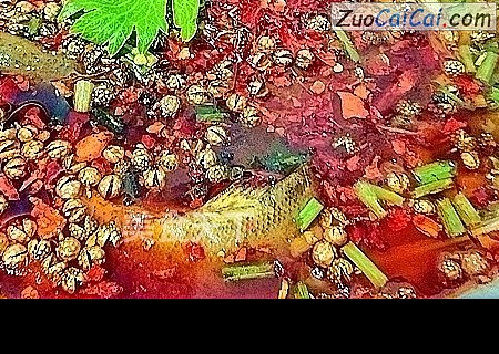 火巴鱼鳅