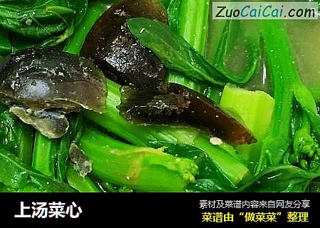上汤菜心