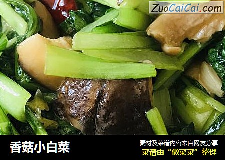 香菇小白菜