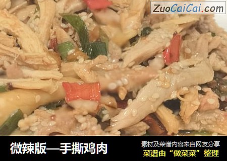 微辣版—手撕鸡肉