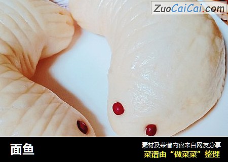 面鱼