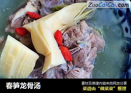 春笋龙骨汤