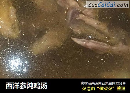 西洋参炖鸡汤