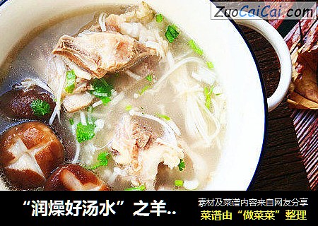 “润燥好汤水”之羊蝎子三菌汤