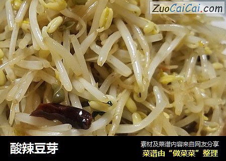 酸辣豆芽