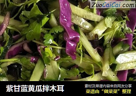 紫甘蓝黄瓜拌木耳