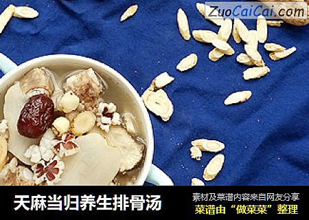 天麻当归养生排骨汤