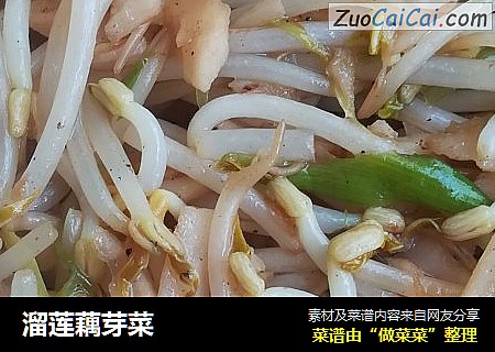 溜莲藕芽菜