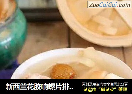 新西兰花胶响螺片排骨汤