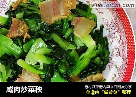 咸肉炒菜秧