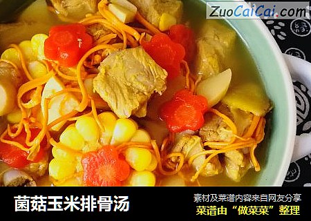菌菇玉米排骨汤