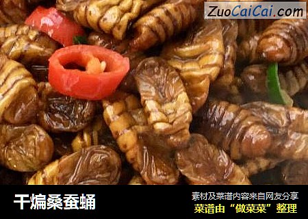 干煸桑蚕蛹