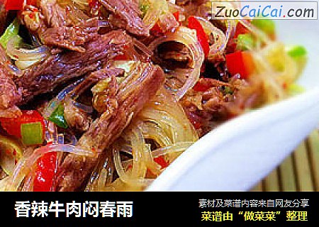 香辣牛肉闷春雨