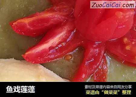 鱼戏莲蓬