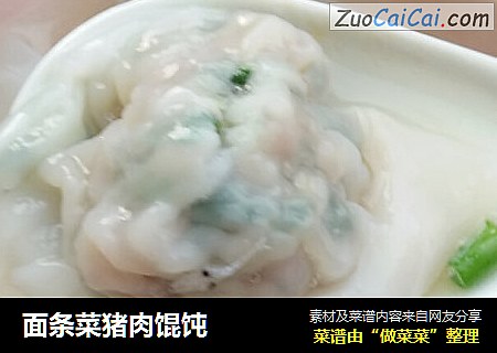 面条菜猪肉馄饨
