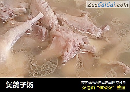 煲鸽子汤