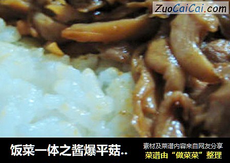 饭菜一体之酱爆平菇肉饭