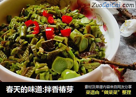 春天的味道:拌香椿芽