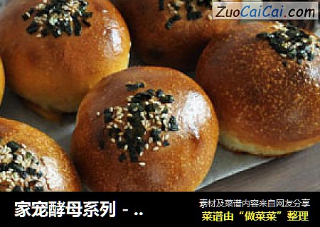 家宠酵母系列 - 金枪鱼紫菜面包