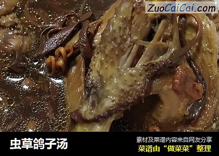 虫草鸽子汤
