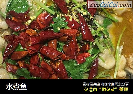 水煮鱼
