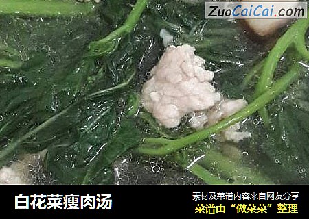 白花菜瘦肉汤