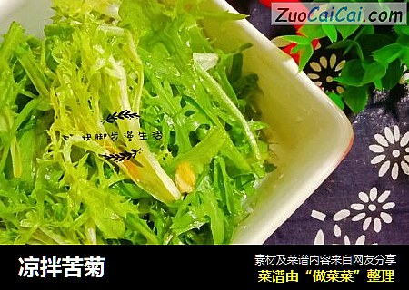 凉拌苦菊