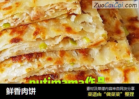 鲜香肉饼