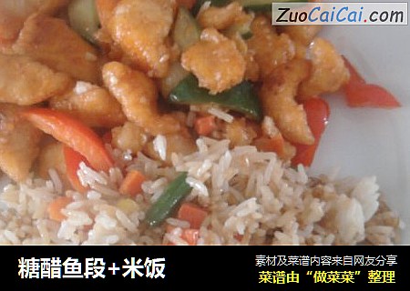 糖醋鱼段+米饭