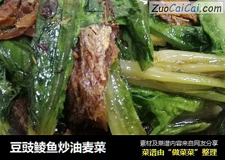 豆豉鲮鱼炒油麦菜