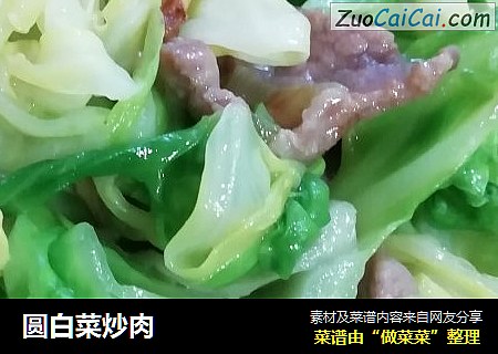 圆白菜炒肉