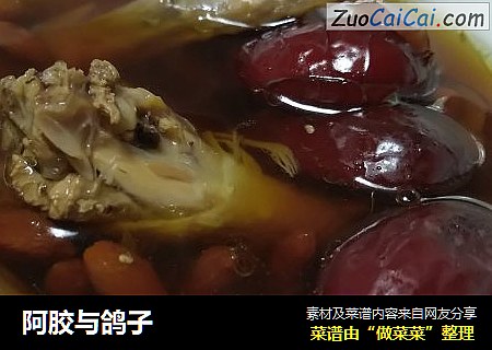阿胶与鸽子