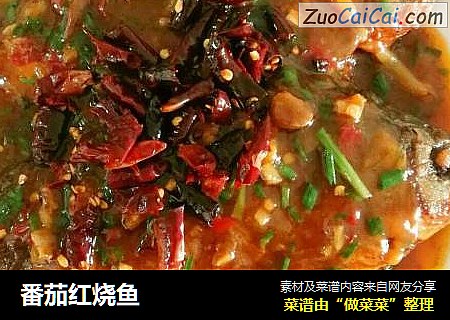 番茄红烧鱼